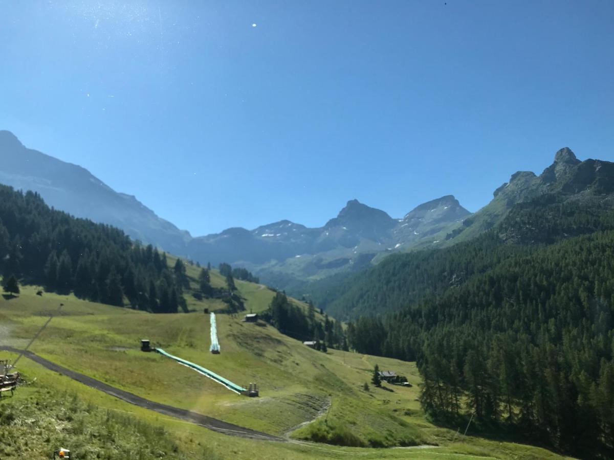 Edelweiss Hotel Champoluc Bagian luar foto