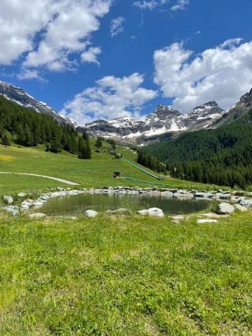 Edelweiss Hotel Champoluc Bagian luar foto
